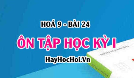 Ôn tập Hoá 9 Học kỳ 1: Sự chuyển đổi hợp chất hữu cơ thành kim loại và kim loại thành hợp chất hữu cơ - Hoá 9 bài 24